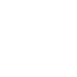 WordPress Schema Plugin For Divi, Gutenberg & Shortcodes Logo